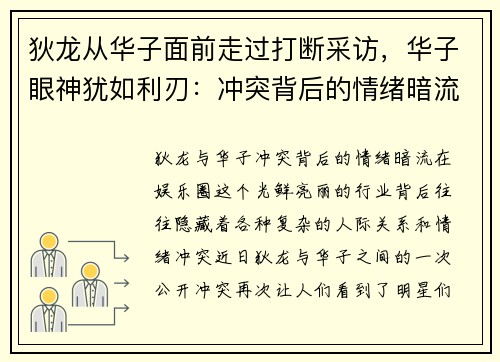 狄龙从华子面前走过打断采访，华子眼神犹如利刃：冲突背后的情绪暗流