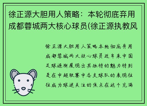 徐正源大胆用人策略：本轮彻底弃用成都蓉城两大核心球员(徐正源执教风格)