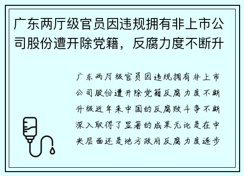 广东两厅级官员因违规拥有非上市公司股份遭开除党籍，反腐力度不断升级